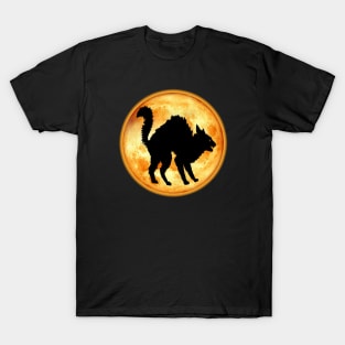 Spooky moon1 T-Shirt